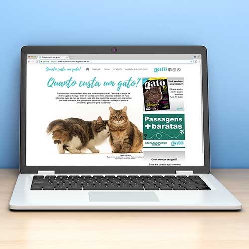 hotsite-gato