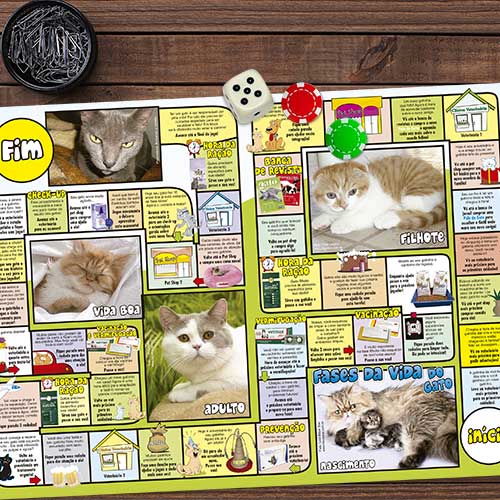 jogo-gato