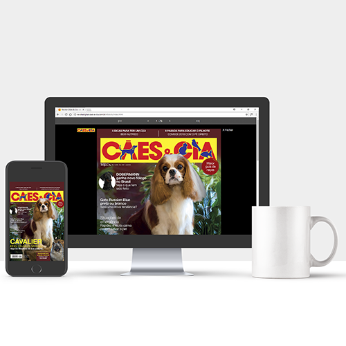site-revista-digital-1