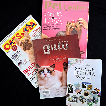 toca-do-gato11